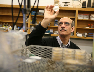 在线DDOS压力测试网页端