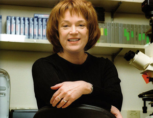 突破发展瓶颈的ddos网页端源码