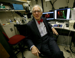 踏踏实实干活的网站防ddos攻击